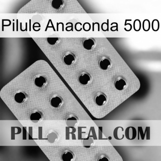 Anaconda 5000 Pill 29